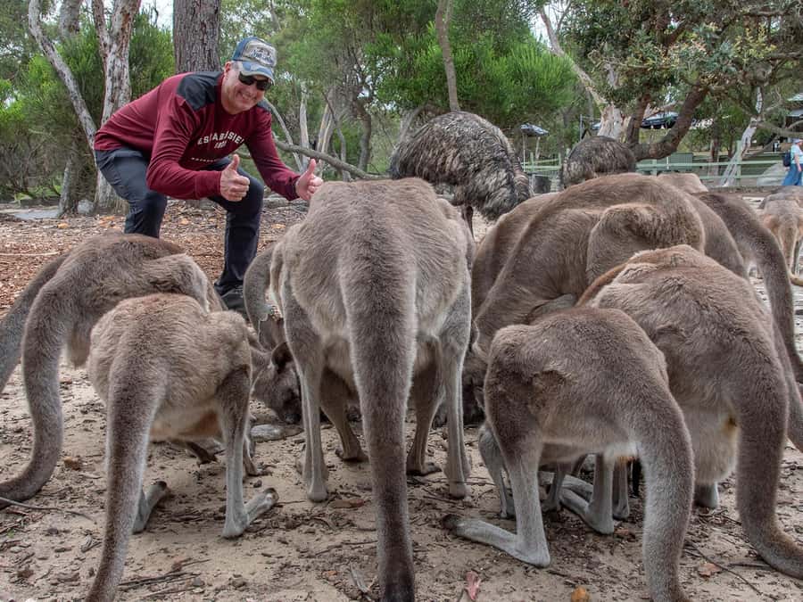 Sydney: Nature and Wildlife - Australia in One Day - Is $396 per person a fair price?