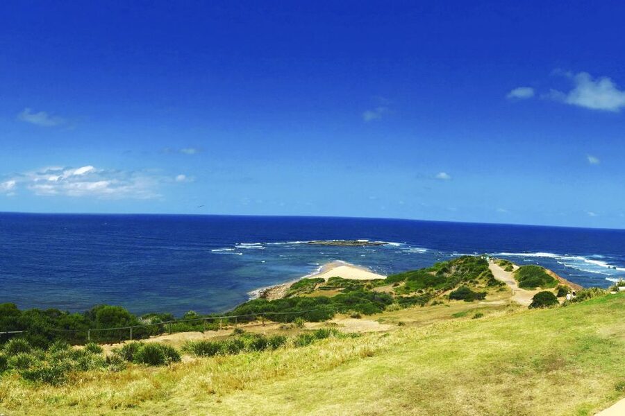 Sydney: Northern Beaches and Ku-ring-gai National Park Tour - Who should book this Northern Beaches tour?