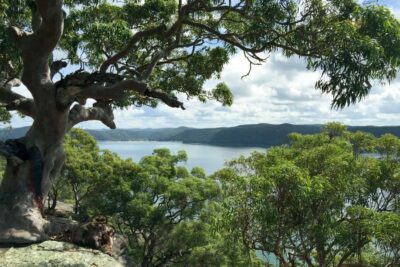 Northern Beaches and Ku-ring-gai National Park Tour