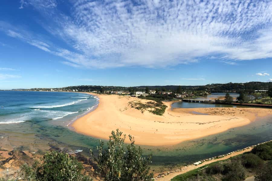 Sydney: Northern Beaches and Ku-ring-gai National Park Tour - The guides are a major part of the experience