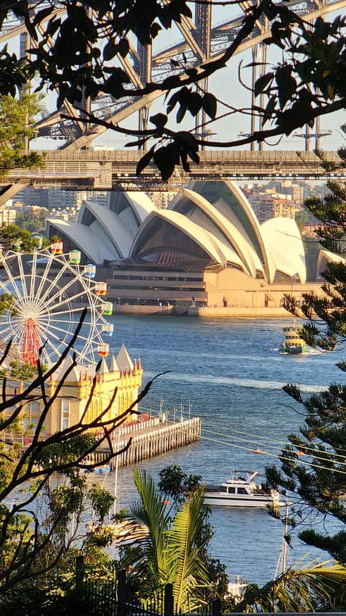 Sydney: Opera & Harbour Bridge Small-Group Kayak Tour - Why the five-person limit matters