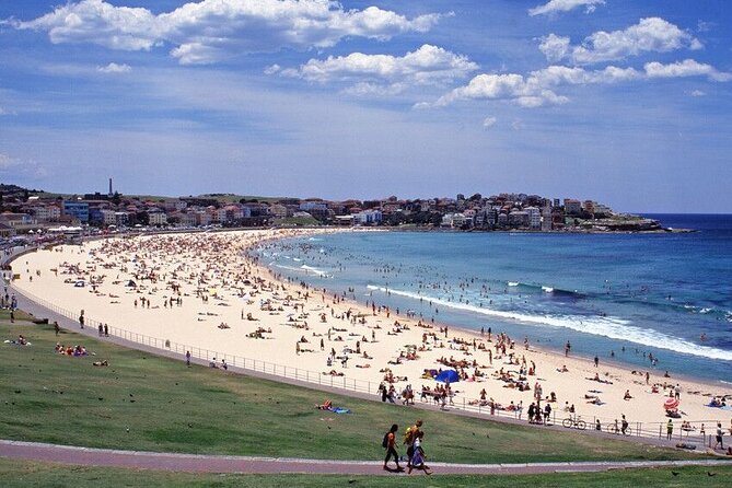 Sydney Port Private Departure Transfer: City Hotel to Cruise Port - What the sedan and minivan setup means