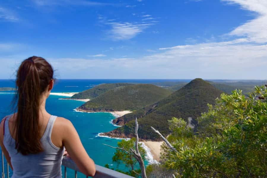 Sydney: Port Stephens Day Trip with Dolphin Cruise or Hike - Nelson Bay for Lunch and Breathing Room