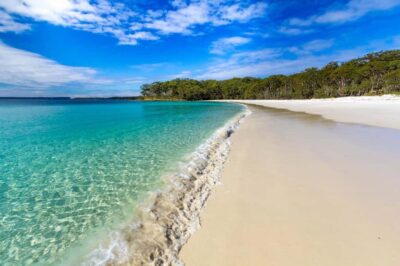 Port Stephens Day Trip with Dolphin Cruise or Hike