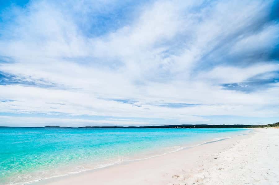 Sydney: Port Stephens Day Trip with Dolphin Cruise or Hike - Who Should Book This Port Stephens Day Trip?
