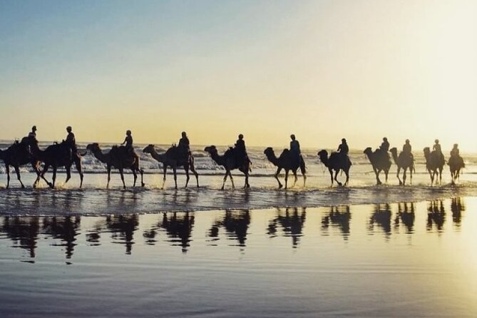 Sydney: Port Stephens Sandboarding, Dunes & Dolphin Cruise option - What the price includes, and where value can slip