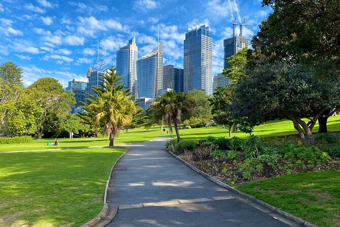 Sydney: PRIVATE City Highlights & Ocean Front Luxe Tour (4h) - Paddington, Darlinghurst, and Darling Harbour