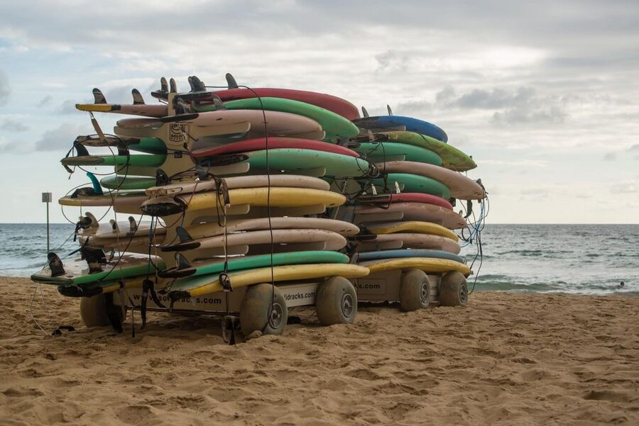 Sydney Private & Custom Walking Experience with a Local - Who should book this Sydney experience?