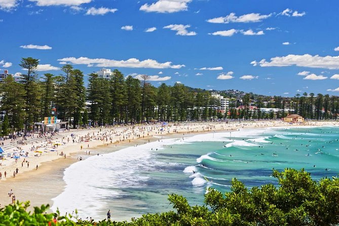 Sydney Private Day Tours | See Sydney in Style | 8 Hour Luxury Private Tour - A big first look at Sydney, from Mrs Macquarie’s Chair