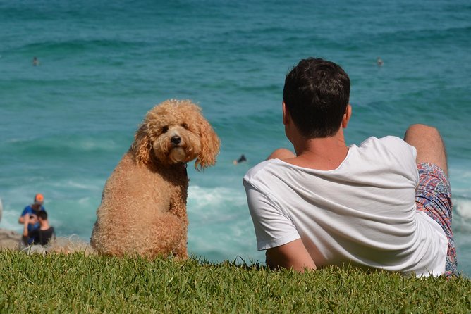 Sydney Private Experience with a Local 3-8hrs: Icons & Gems - Meeting your host in central Sydney