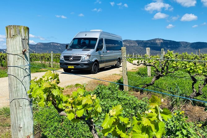 Sydney: PRIVATE Hunter Valley Wine Tasting Luxe Tour (10h) - Why a private vehicle changes the day