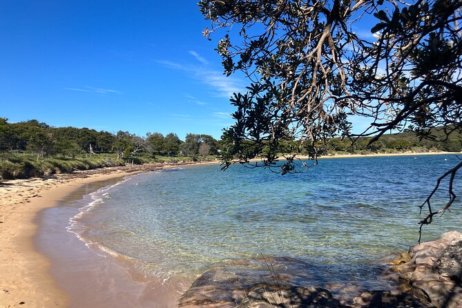 Sydney Private Tour Inc The Royal National Park and Symbio Zoo - Wedding Cake Rock supplies the main hike