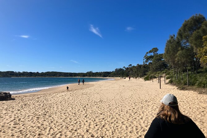 Sydney Private Tour Inc The Royal National Park and Symbio Zoo - Symbio Wildlife Park brings the kangaroo encounter