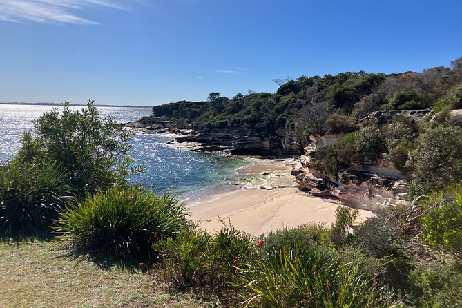 Sydney Private Tour Inc The Royal National Park and Symbio Zoo - Sea Cliff Bridge finishes with an easy walk
