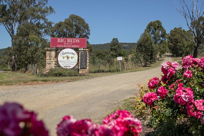 Sydney: Private Wine tour - Hunter Valley & Wollombi Valley - Hunter Belle Cheese Room adds a welcome change