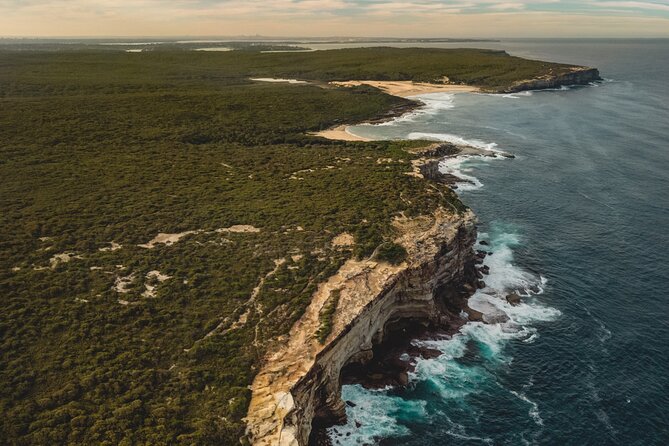 Sydney: Royal National Park Day Trip with Picnic and Swim - Why this Sydney day trip works