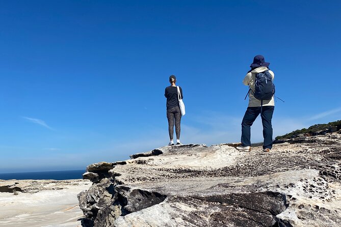Sydney: Royal National Park Day Trip with Picnic and Swim - Riding the Grand Pacific Drive toward Wollongong
