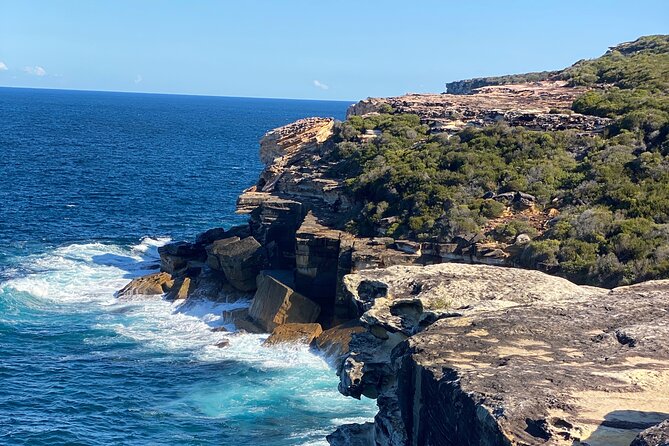 Sydney: Royal National Park Day Trip with Picnic and Swim - Who will enjoy this experience most