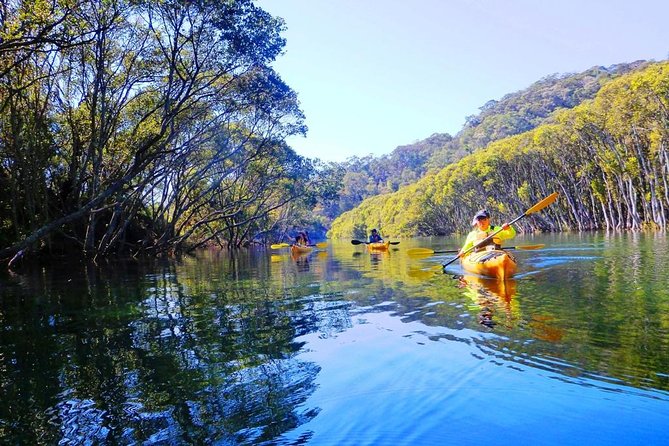 Sydney's Middle Harbour Sea Kayaking Eco Tour (Fully Guided) - What the Four-Hour Paddle Feels Like