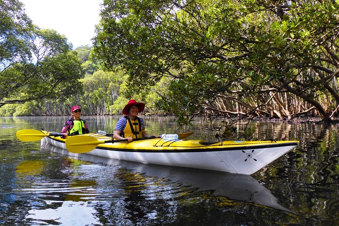 Sydney's Middle Harbour Sea Kayaking Eco Tour (Fully Guided) - How Much Value Do You Get for $118.35?