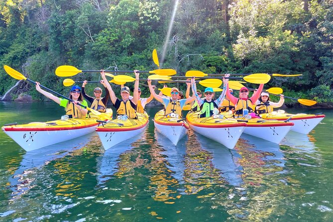 Sydney's Middle Harbour Sea Kayaking Eco Tour (Fully Guided) - Should You Book Middle Harbour Sea Kayaking?