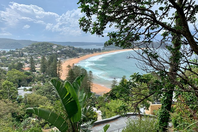 Sydney's Northern Beaches & Ku-ring-gai National Park Small Tour departing Manly - Whale Beach and the Bible Gardens