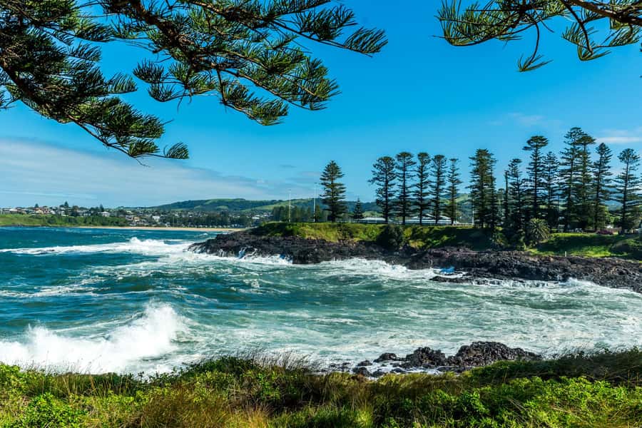 Sydney: Sea Cliff Bridge, Kiama Blowhole and Farmlands Tour - Jamberoo farms and Saddleback Mountain