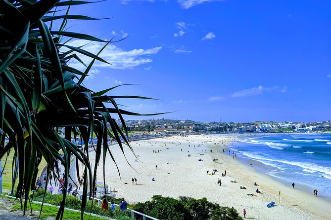 Sydney Secrets and Bondi Beach 4 HOUR AFTERNOON PRIVATE TOUR - A moving tour through central Sydney