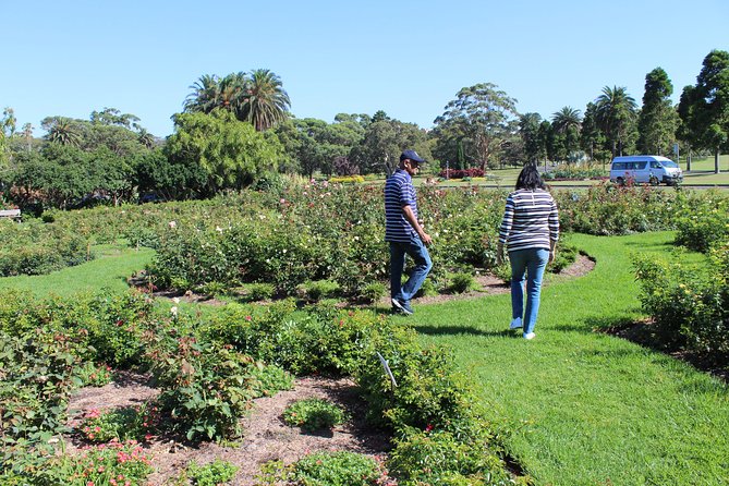 Sydney Shore Excursion: Half-Day Sydney City Highlights and Manly - Key points at a glance