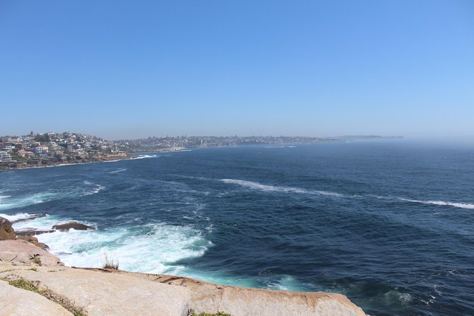 Sydney Shore Excursion: Half-Day Sydney City Highlights with Bondi Beach and Watsons Bay - Through Woolloomooloo and Sydney’s eastern suburbs