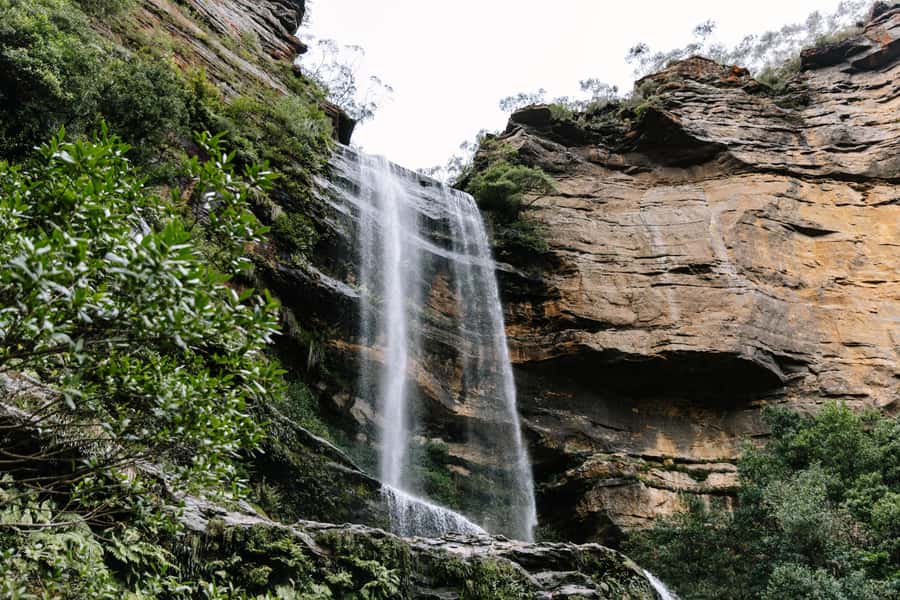 Sydney: Small Group Blue Mountains, Wildlife & Waterfalls - Starting in central Sydney