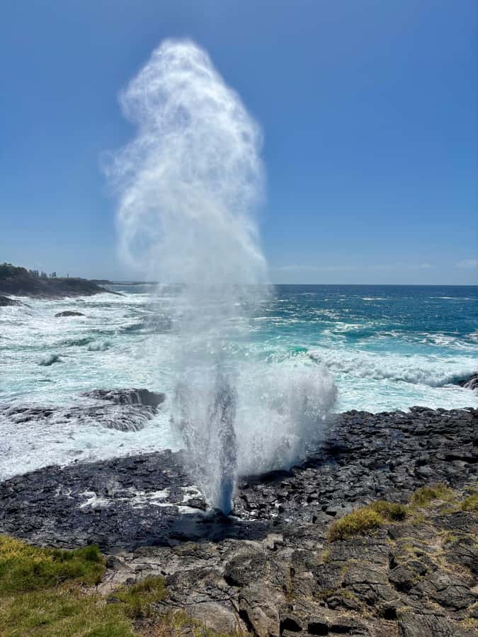 Sydney: Southern Highlands and South Coast Private Tour - Fitzroy Falls is the inland payoff