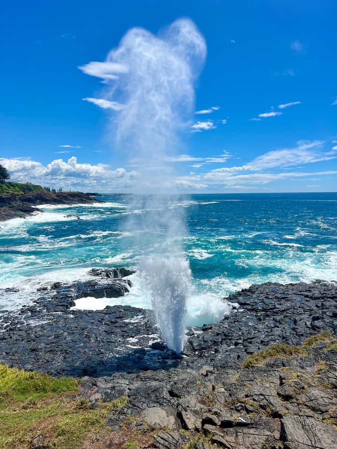 Sydney: Southern Highlands and South Coast Private Tour - What to bring and how to prepare