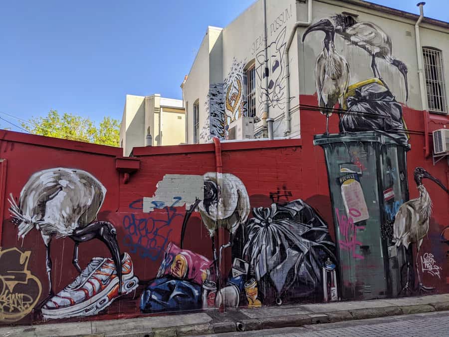 Sydney: Street Art & Small Bar Tour with Complimentary Drink - Three bars, reservations, and a first drink