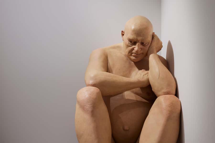 Sydney Summer Art Exhibitions Art Gallery of New South Wales - Accessibility and practical comfort