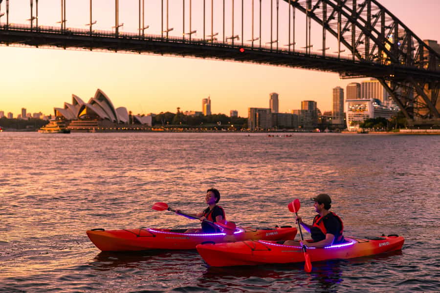 Sydney: Sunrise Kayak, Opera House & Under Harbour Bridge - Key points to know before you book