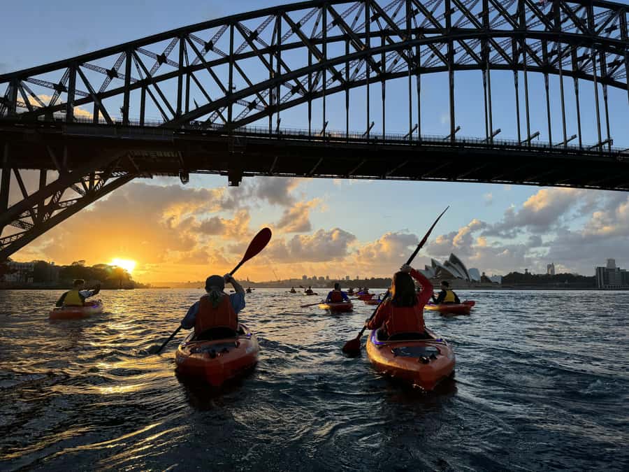 Sydney: Sunrise Kayak, Opera House & Under Harbour Bridge - Flying Bear Café and the $20 breakfast credit
