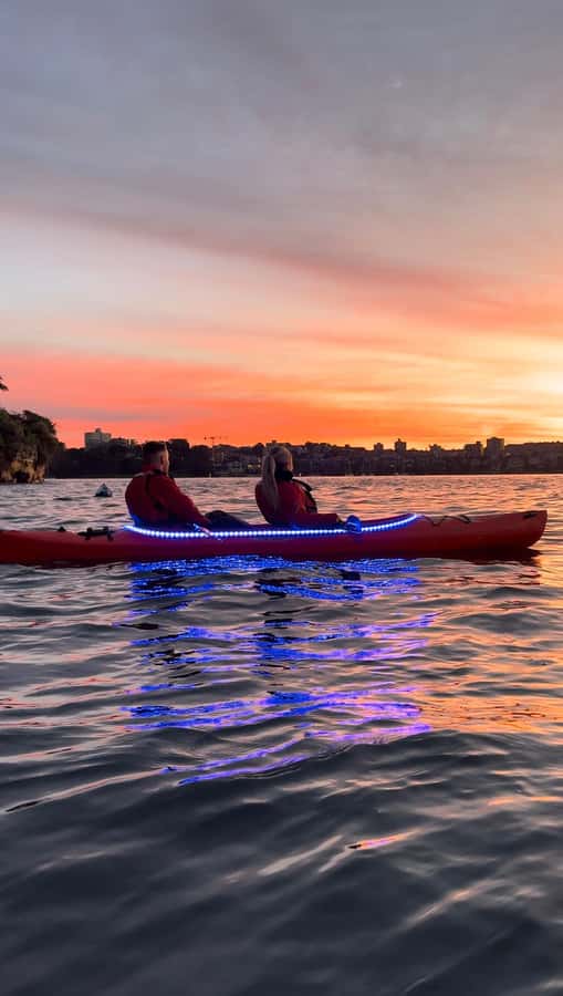 Sydney: Sunrise Kayak, Opera House & Under Harbour Bridge - Who should book this Sydney kayak tour?