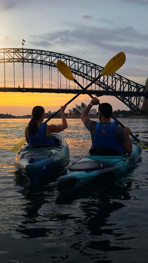 Sydney Sunrise Kayak Tour on Sydney Harbour - Key points to know before you paddle