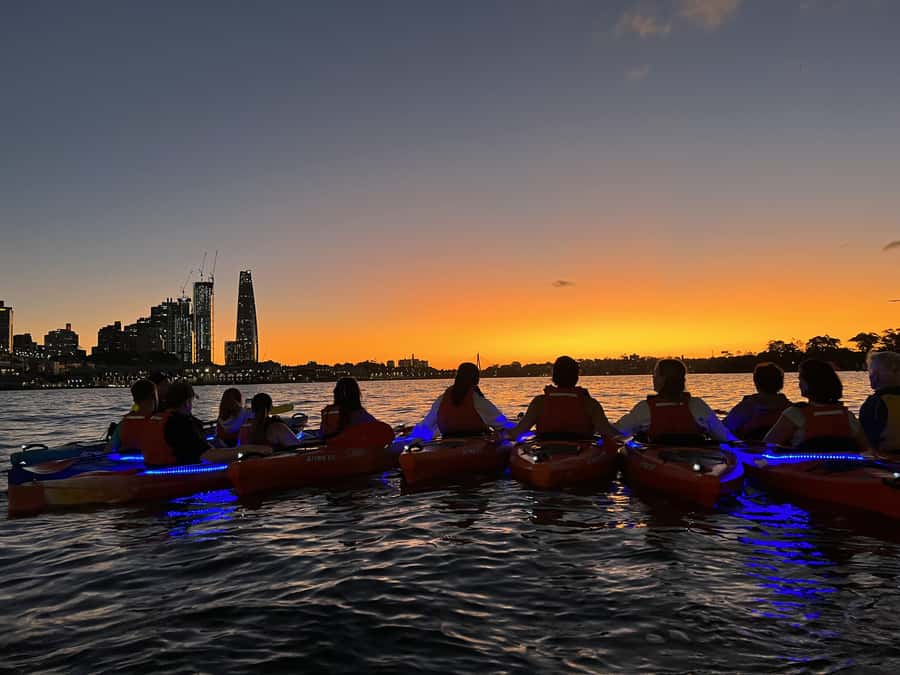 Sydney: Sunset Kayak Tour on Sydney Harbour - Key points at a glance