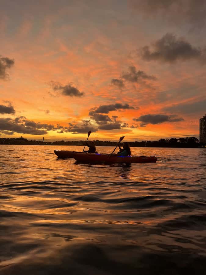 Sydney: Sunset Kayak Tour on Sydney Harbour - Weather can change the plan