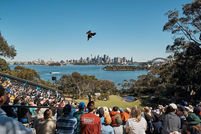 Sydney Taronga Zoo General Entry Ticket - Food, picnic areas, and timing your visit