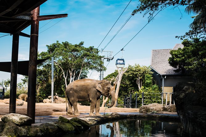 Sydney Taronga Zoo Wild Australia Experience - Key points to know before booking