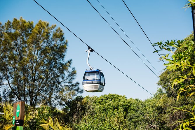 Sydney Taronga Zoo Wild Australia Experience - Conservation stories and Australian wildlife facts