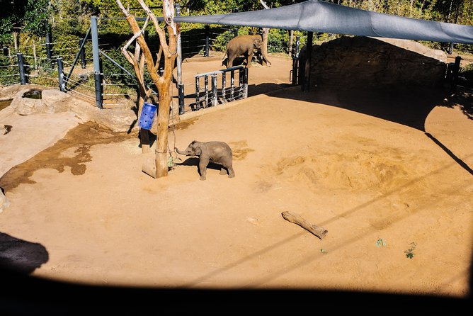 Sydney Taronga Zoo Wild Australia Experience - Using the rest of your day at Taronga Zoo