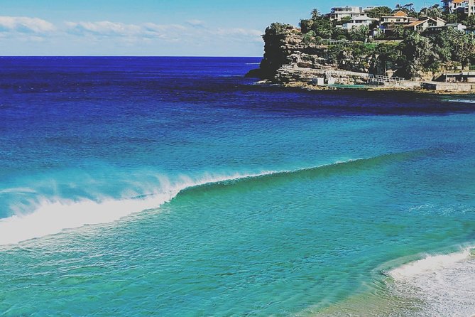 Sydney, The Rocks, Watsons Bay, Bondi Beach FULL DAY PRIVATE TOUR - Centennial Park and Sydney beyond the postcards