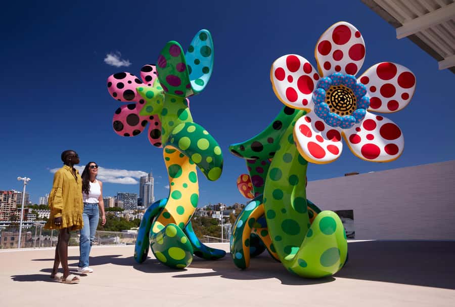 Sydney: Tickets & Tours at Art Gallery of New South Wales - Starting at Naala Badu at 9:15am