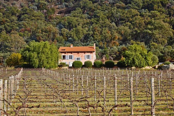 Sydney to Hunter Valley Wine Tour | Gin, Lunch, Chocolatier Visit - Chocolate and the optional gin tasting