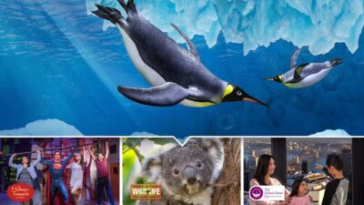 Ultimate City Pass for 4 Attractions with Skywalk