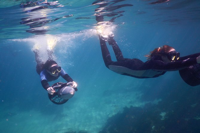 sydney underwater scooter tours - Starting at Burrows Park and Clovelly Surf Club